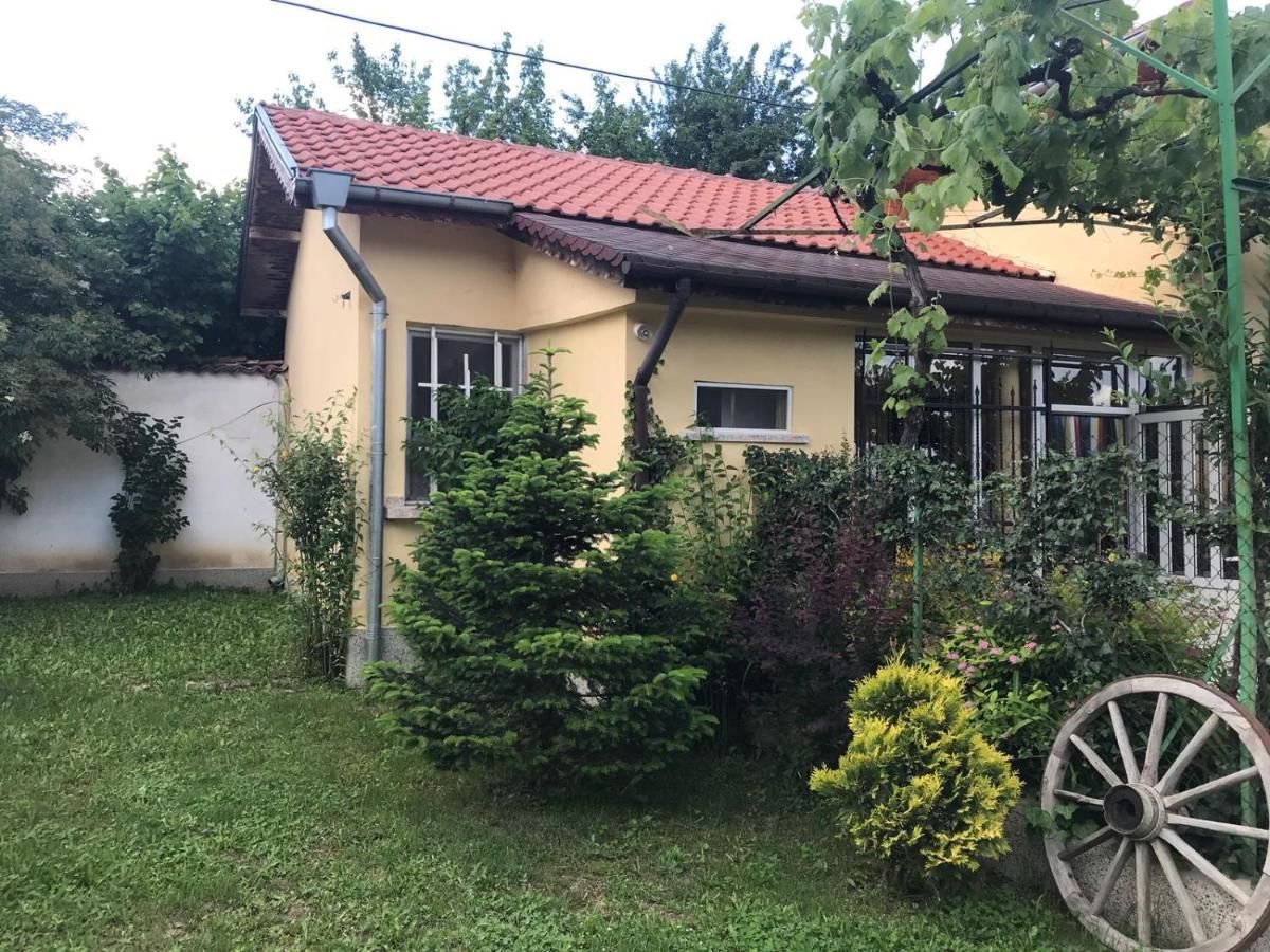 Дома для отпуска Guesthouse Planinsko Gnezdo Tŭzha-8
